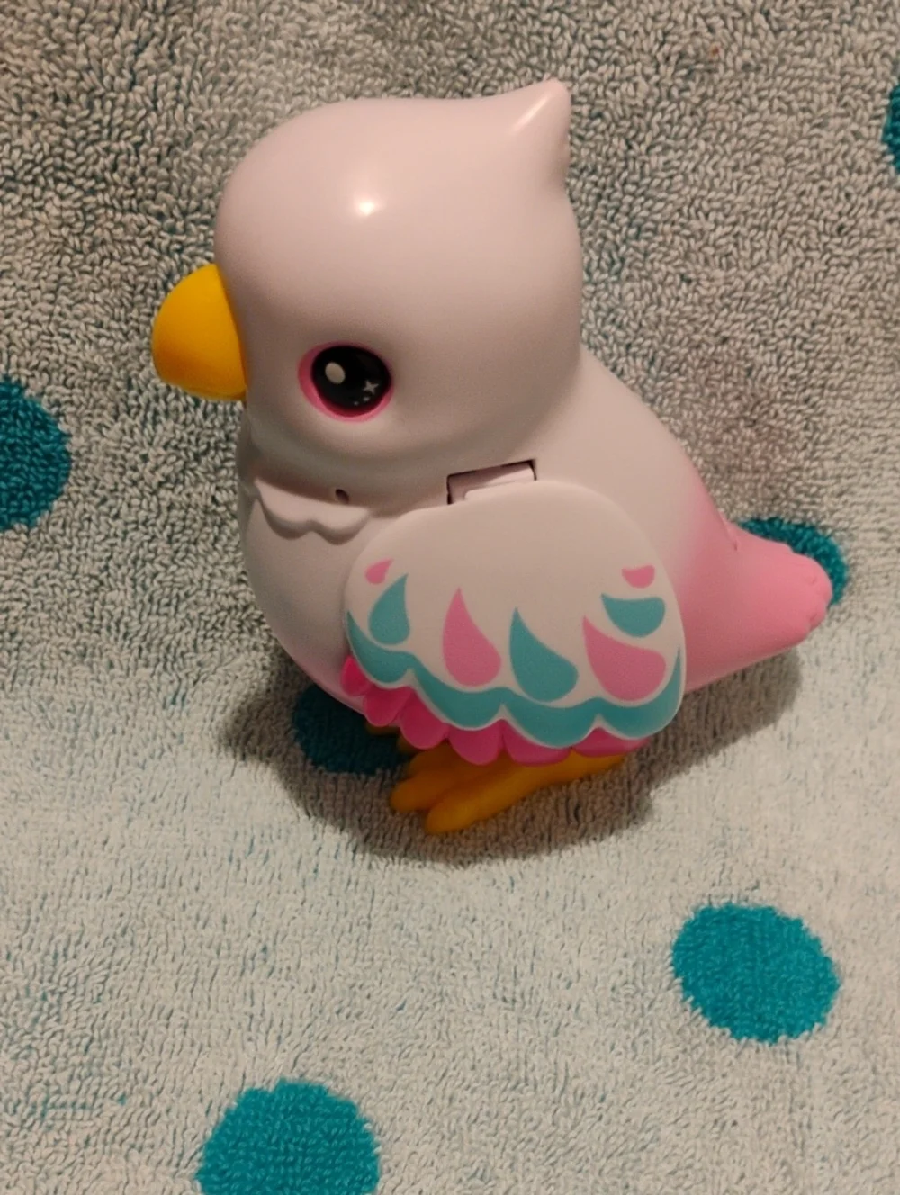 Polly - Pets Alive - Bird Only